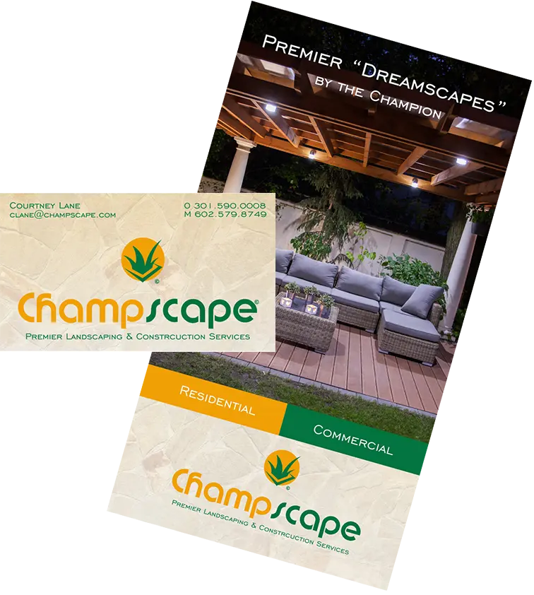 Champscape brochure and business card